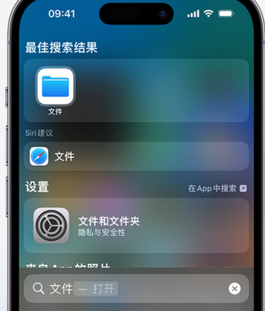 左权apple维修中心分享iPhone文件应用中存储和找到下载文件