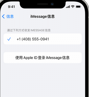 左权apple维修iPhone上无法正常发送iMessage信息