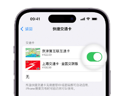 左权apple维修点分享iPhone上更换Apple Pay快捷交通卡手绘卡面 