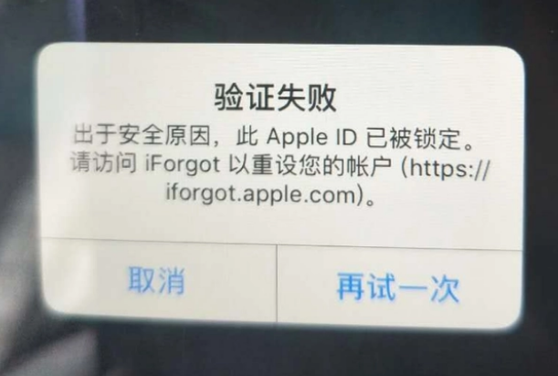 左权iPhone维修分享iPhone上正常登录或使用AppleID怎么办 