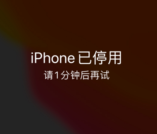 左权苹果手机维修分享:iPhone 显示“不可用”或“已停用”怎么办？还能保留数据吗？ 