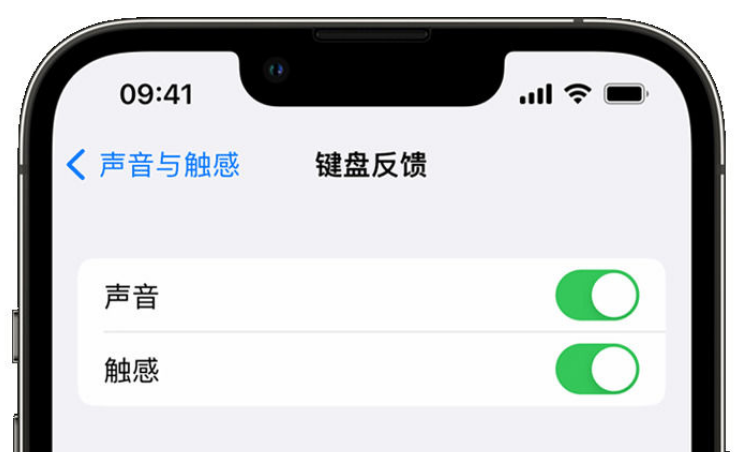 左权苹果手机维修分享iPhone 14触感键盘使用方法 