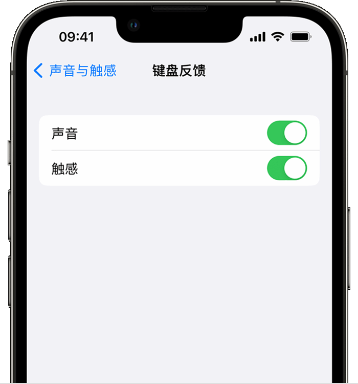 左权苹果14维修店分享如何在 iPhone 14 机型中使用触感键盘 