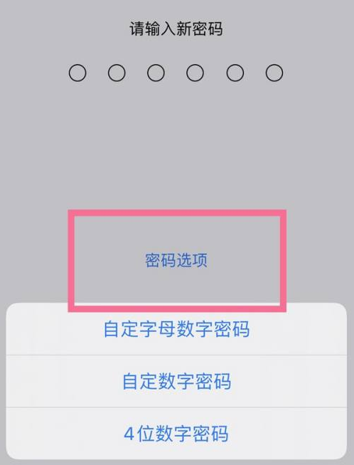 左权苹果14维修分享iPhone 14plus设置密码的方法 