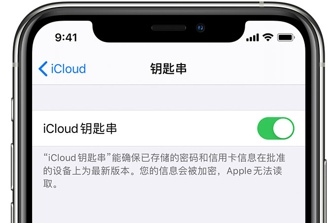 左权苹果手机维修分享在 iPhone 上开启 iCloud 钥匙串之后会储存哪些信息 