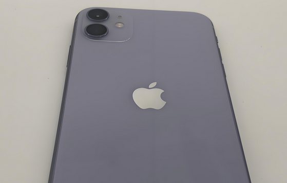 左权苹果11系统维修分享iPhone11手机系统崩溃无法开机如何解决 